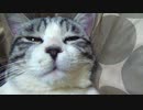 ふて寝するアルフィノ　＃222