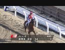 「ハーイ(^O^)／」を集めてみました（地方転入初戦～3戦目）