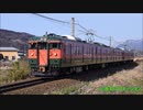 【S9編成】115系湘南色編成と北しなの線を巡る冒険(後編)【S25編成】