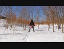 POWER QUEST-diamond sky  弾いてみた　
