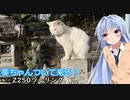 葵ちゃんついて来る？第5話「結局フィジカル」