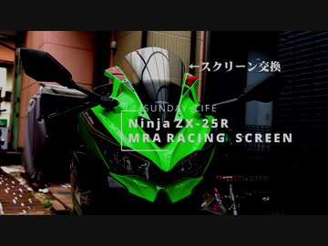 ZX-25RにMRAスクリーン組んだ