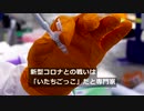 コロナとの戦いは「いたちごっこ」、定期的なブースター接種必要＝英専門家