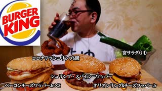 【ASMR】【咀嚼音】【モッパン】バーキンのエビフライとオニオンなんちゃらを買っ