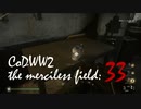 CoDWWⅡ the merciless field: 33