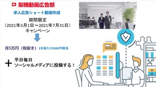 梨楠動画広告部-自社08求人04