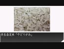 ゆっくり紹介 日本生類創研 共生自足米「やどりがみ」を紹介します。