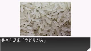 ゆっくり紹介 日本生類創研 共生自足米「やどりがみ」を紹介します。