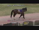 農林水産大臣賞典 第23回黒船賞 パドック～本馬場入場