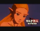 [初見] ゼルダ無双厄災の黙示録 一応実況プレイかも！ 第38回 -2/2