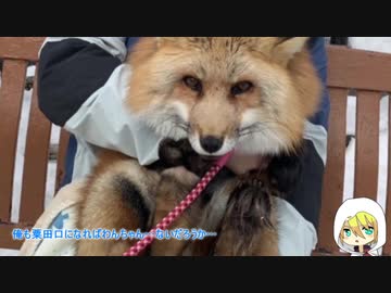 山姥切国広の北海道プチ遠征その3