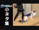 にじさんじ小ネタ集【にじさんじ切り抜き】