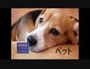 ◆実況◆吾輩は犬である。名前は… ≪ペット≫