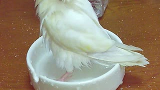 初！　ひな♡の水遊び（ひな♡は女の子です）