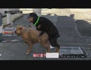 【GTA5ゆっくり実況動画】Part7いきなり犬の交尾