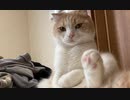 風に聞け　２１０３１６　Downpour - Patiño