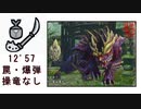 【MHRise体験版】マガイマガド なしなし操虫棍 12'57 罠・爆弾・他操竜なしTA
