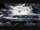 test4