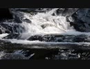 test5