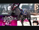 【競馬】ゆっくりさんと未来に語り継ぎたい名馬たち その004【ゆっくり朗読】