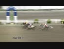 2021年3月16日高知競馬4R ＪＲＡ交流競走 はりまや盃(JRA1勝クラス・B級以下) ビービーデフィ