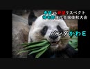 【MUGEN】[旧章] 希望vs絶望リスペクト大会【帰宅部強化合宿後秋大会】part4