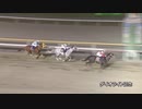 第66回ダイオライト記念 ダノンファラオ