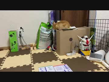 いたずらサリーちゃん