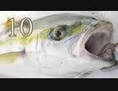 【１０】伊勢湾ジギング　大きな青物を釣りたい