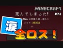 【マイクラJE #72】エリトラで冒険に出たら大事故に遭いました【女性実況】