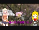 ＮＳ－１で行く！藤川天神♪