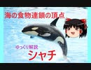 ゆっくり解説その８【冥界からの魔物・シャチ】