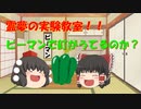 【ゆっくり茶番】霊夢の実験教室！ピーマンで釘がうてるのか？