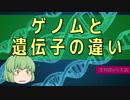 【ゆっくり解説】遺伝子とゲノムの違いとは？