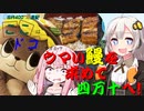 【ここドコ（仮）】ウマいウナギを求めて四万十へ！（我が家にあかりがやってきた）
