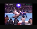 フィニッシャー集（タイガー系+顔面蹴り系）【プロレス】