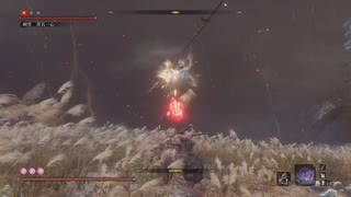 【SEKIRO MOD】剣聖 葦名一心【RESURRECTION】