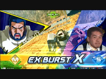 2 4 歳 、 白 狼 で す 。X B . m p 1