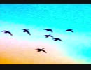 風景写真＋Music＝RELAX