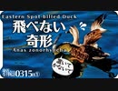 0315B1【飛べない鳥の病気エンジェルウイング奇形のカルガモ】コサギ魚捕食。スズメ巣探し。オカヨシガモ夫婦。ダイサギ。宿敵カワセミ。鳥にパンだめ。　#身近な生き物語　#カルガモ　#エンジェルウイング