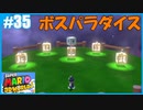 【スーパーマリオ 3Dワールド】のんびりプレイ part35【SnowSky】