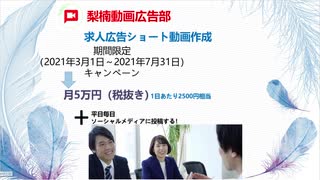 梨楠動画広告部-自社09求人05