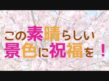 この素晴らしい景色に祝福を！【2021】　櫻木神社