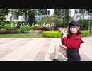 【まゆつ】라비앙로즈 La Vie en Rose【踊ってみた】宮脇咲良ちゃんお誕生日うおめでとう！