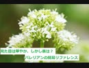 【スパイスを知ろう！】バレリアンを知ろう！【part109】