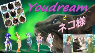 ネコ様の日常 2021-03-19