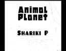 「アニマル プラネット」feat.初音ミク　Shariki P / [Animal Planet ]　Hatsune Miku