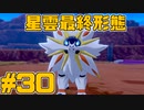 【役割論理】ポケモン剣盾で役割論理ですぞpart30 太陽の化身(炎弱点)編【ヤルガレオ】