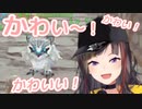 雪フクロウの赤ちゃんに「かわいい」が止まらない早瀬走【にじさんじ / 切り抜き】