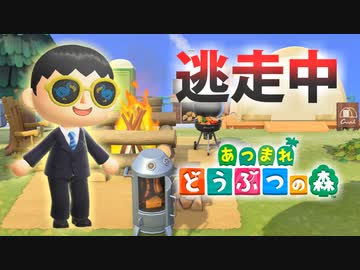 【あつ森】逃走中を森でやってみた 1周年記念編 inわさび島【実況】あつまれどうぶつの森